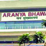 Chhattisgarh PCCF: छत्तीसगढ़ के प्रधान मुख्य वन संरक्षक बने ओपी यादव, मुख्य वन्यजीव वार्डन की भी मिली जिम्मेदारी
