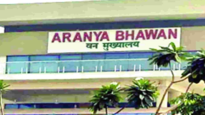 Chhattisgarh PCCF: छत्तीसगढ़ के प्रधान मुख्य वन संरक्षक बने ओपी यादव, मुख्य वन्यजीव वार्डन की भी मिली जिम्मेदारी