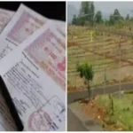 CG- 9 साल से सरकारी जमीन पर रह रहे लोगों को मिलेगा पट्टा; प्रदेश के सभी नगरीय निकायों में सर्वे शुरू, कलेक्टरों से मांगी गई रिपोर्ट