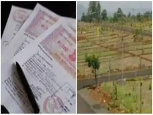 CG- 9 साल से सरकारी जमीन पर रह रहे लोगों को मिलेगा पट्टा; प्रदेश के सभी नगरीय निकायों में सर्वे शुरू, कलेक्टरों से मांगी गई रिपोर्ट