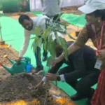 विश्व पर्यावरण दिवस पर एसईसीएल का विशेष वृक्षारोपण कार्यक्रम, सीएमडी हरीश दूहन ने दिया पर्यावरण संरक्षण का संदेश