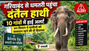 Dhamtari Elephant Alert: दंतैल हाथी की एंट्री, 10 गांवों में अलर्ट, आबादी क्षेत्र की ओर बढ़ने का खतरा