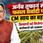 अर्नब तूफान से फसल बर्बादी पर CM साय का बड़ा ऐलान; किसानों को मिलेगा मुआवजा, कलेक्टरों को तत्काल सर्वे के निर्देश
